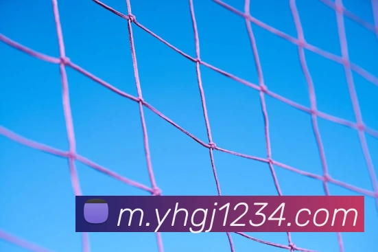 银河官方网站澳门全站App